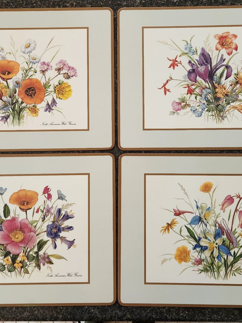 Vintage Flower Pimpernel England Cork Placemats Set